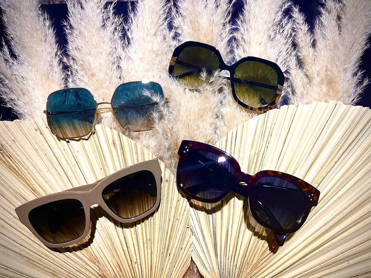 Opticien Riquier Optique Toulouse - photo 5