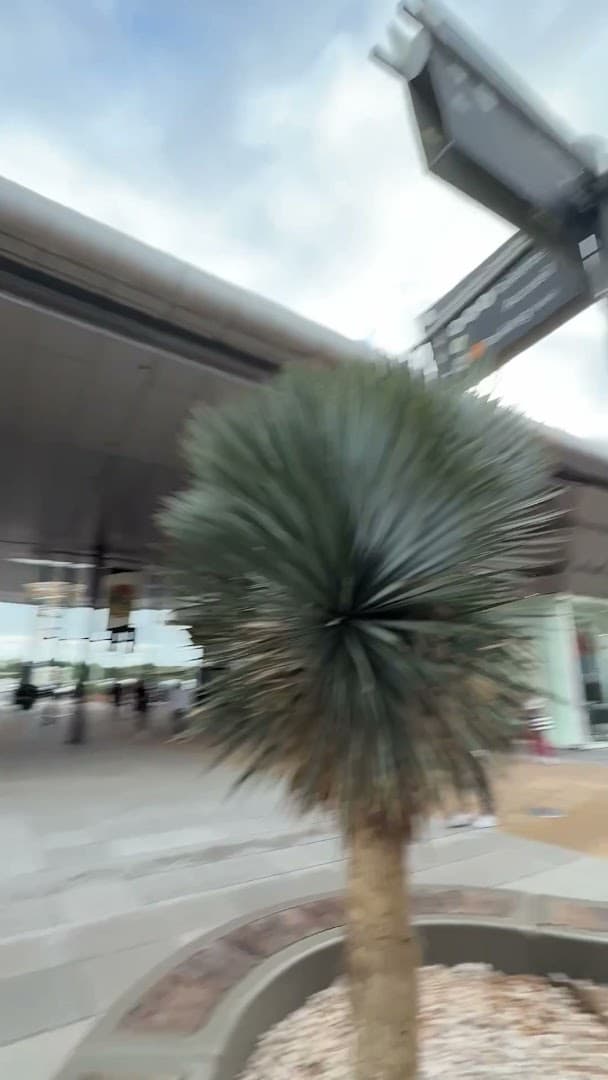 Lunettes Pour Tous - photo 3