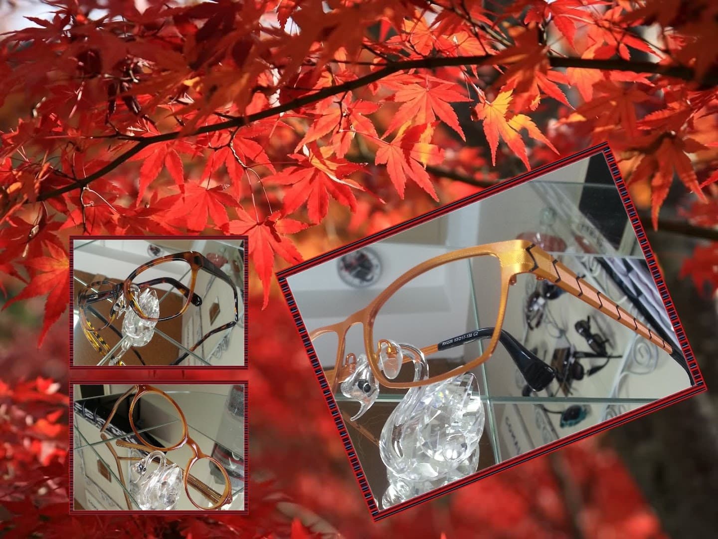 CONVIVIAL OPTIC OPTICIEN A DOMICILE - photo 5