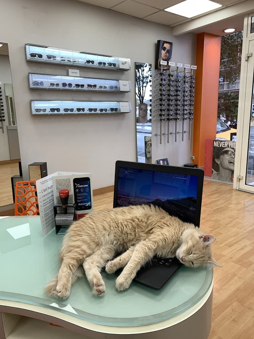 AB Optical St Loup Opticien Marseille - photo 5