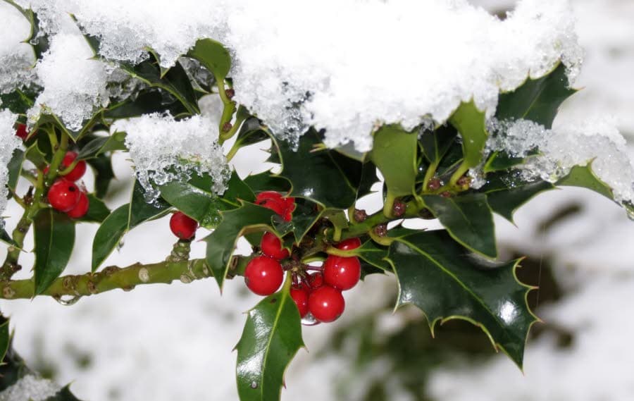 Lissac l'Opticien Nice Gambetta - photo 5