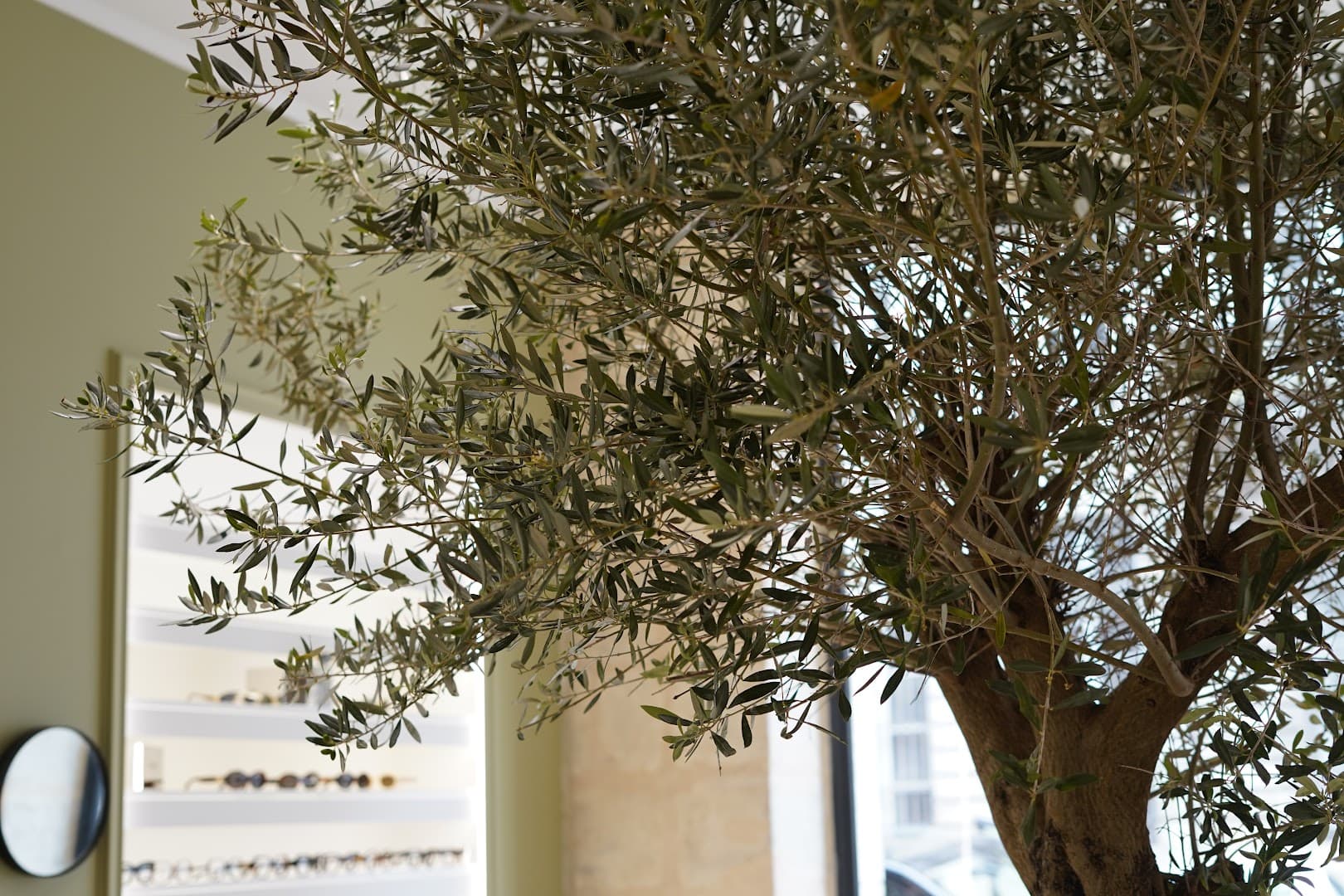 Esprit Optique - photo 2