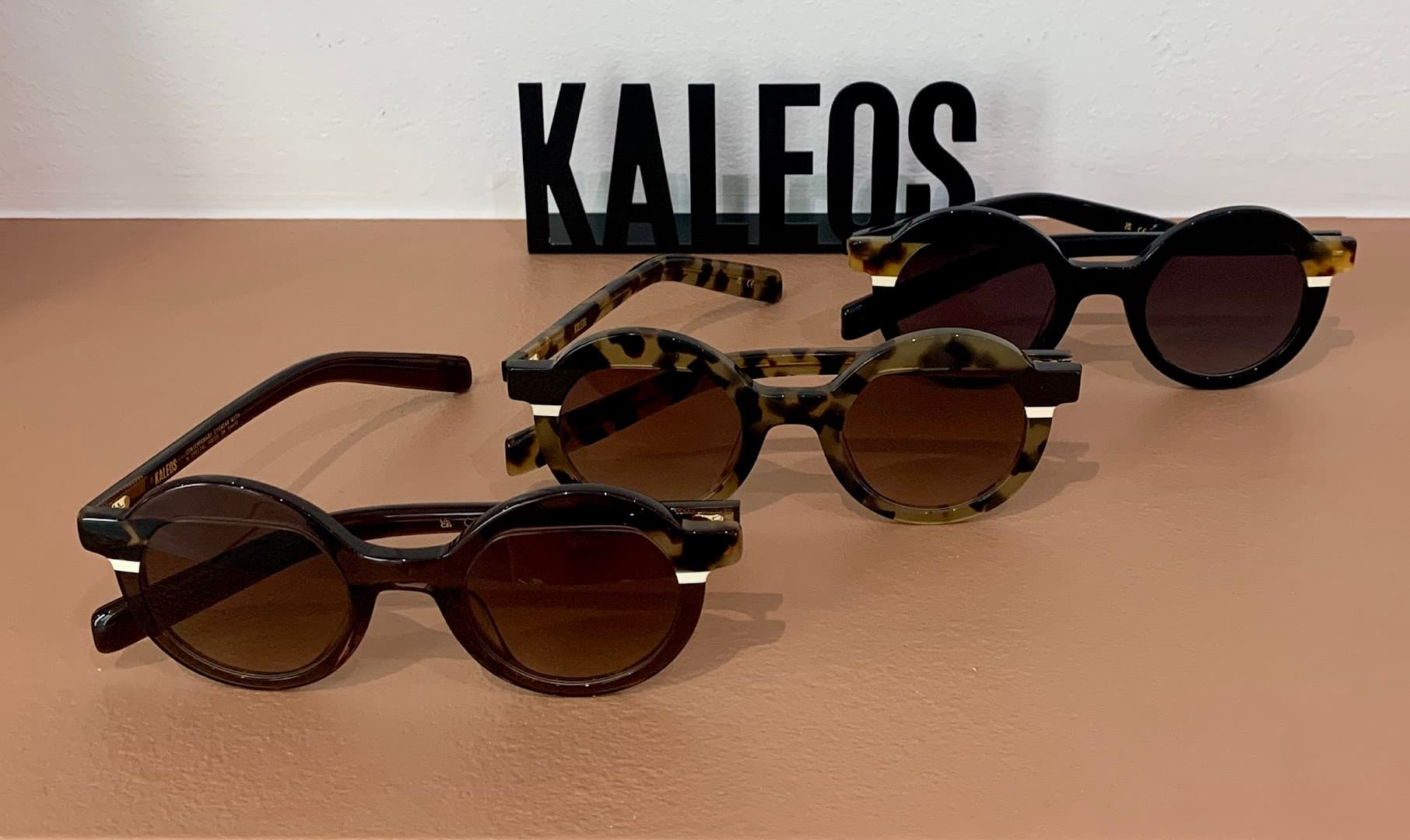 Opticien - Terre de Lunettes - Bordeaux - photo 3