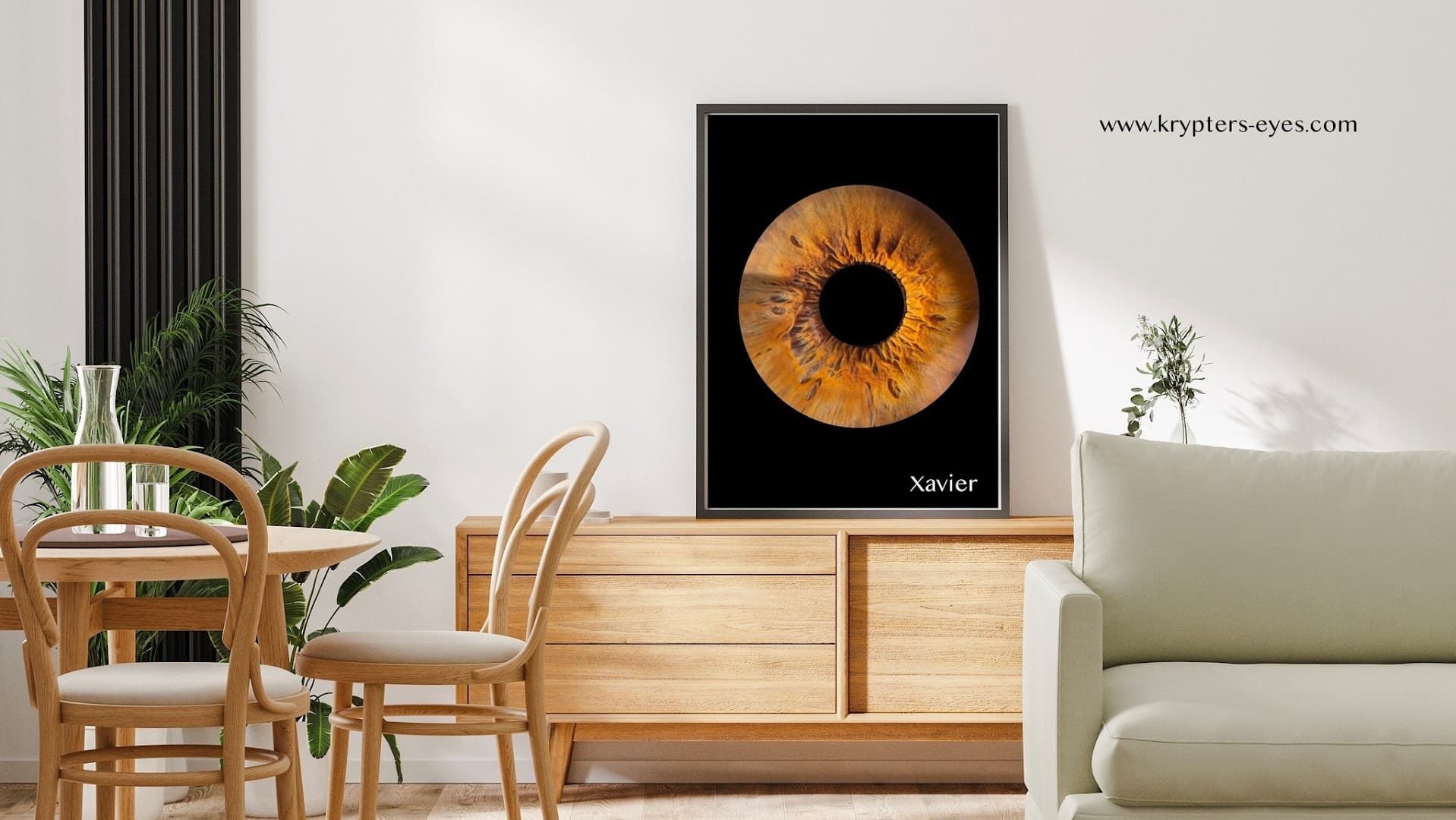 Optika Saint Louis - photo 2