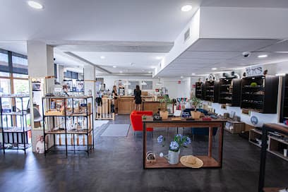 PRUNELLE : Opticien-Lunetier - Expert Vision France